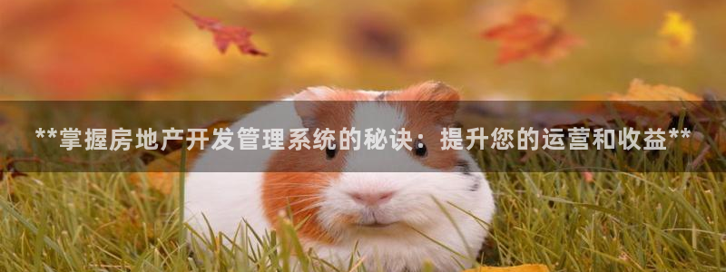 万向娱乐官网下载安装