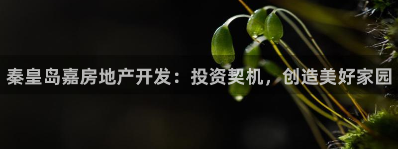 万向娱乐app下载