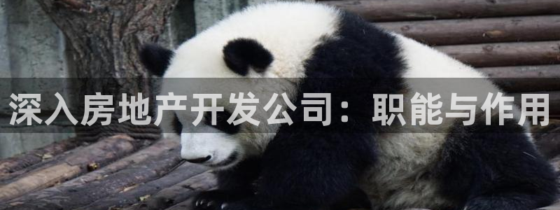 万向娱乐app下载