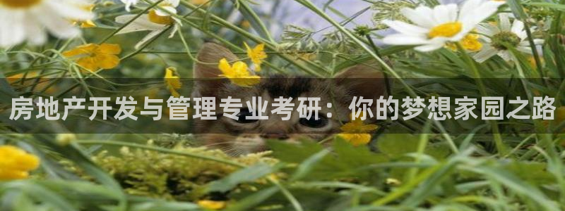 万象游戏代理