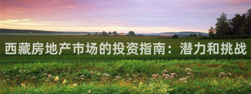 万向娱乐平台代理