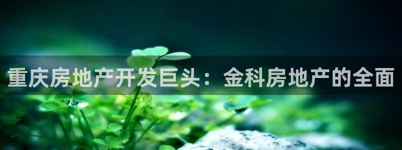 万向娱乐平台代理怎么做