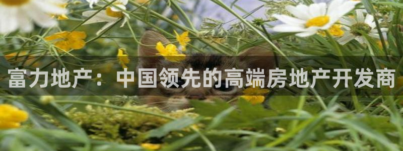 万向娱乐官网下载安装手机版