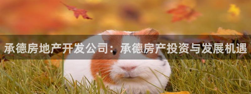 万象游戏代理