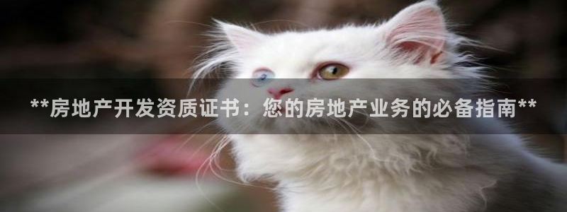 万向娱乐平台代理怎么做