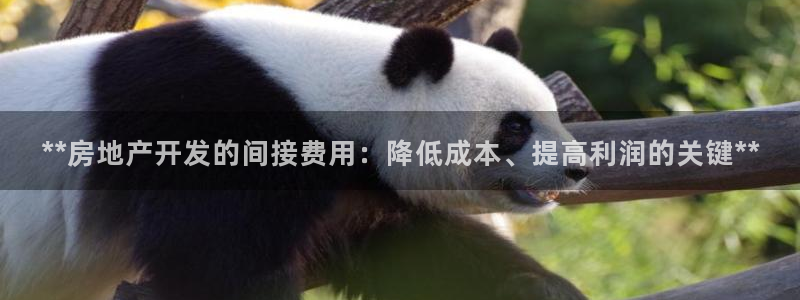 万向娱乐app下载官网