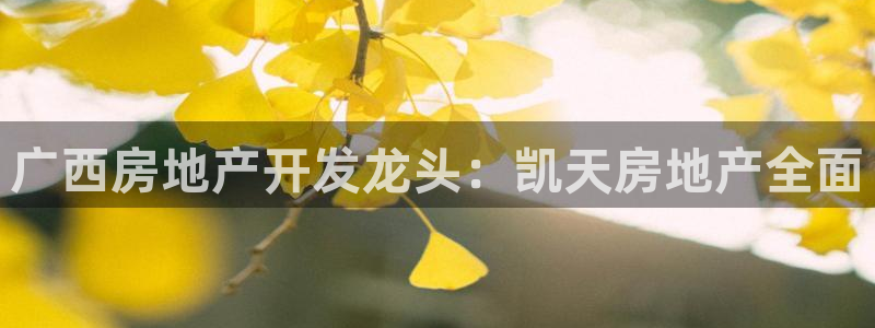 万向娱乐平台代理怎么样啊