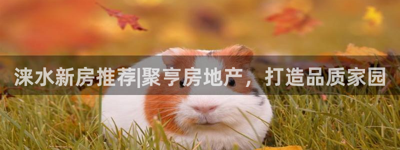 万向娱乐登陆官网下载