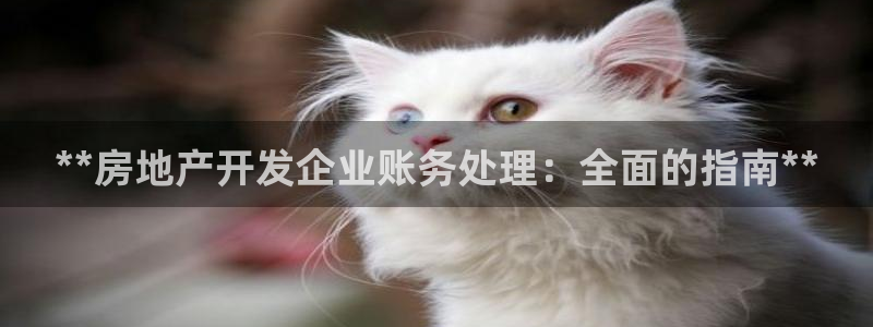 万向娱乐app下载