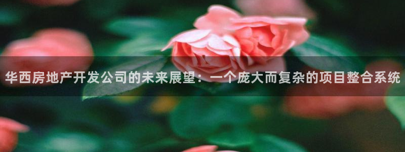 万向娱乐总代