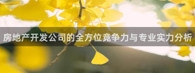 万向娱乐平台代理多少钱