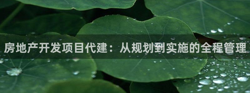 万向娱乐下载安装