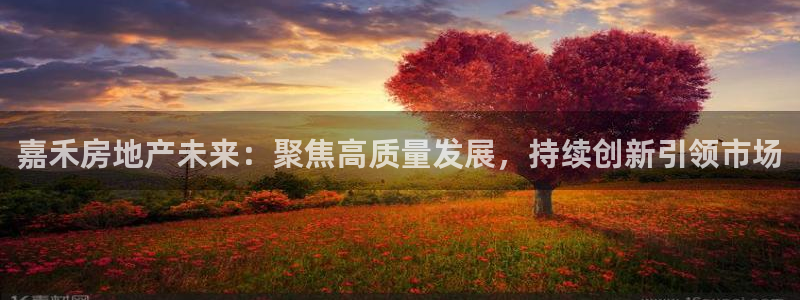 万向娱乐挂机