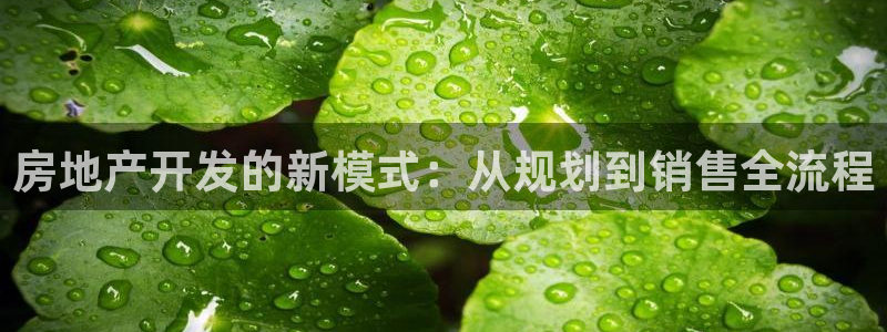 万向娱乐平台代理多少钱一个月
