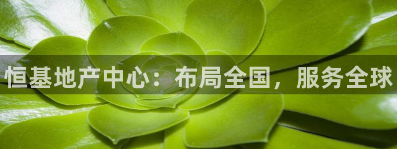万向娱乐老板