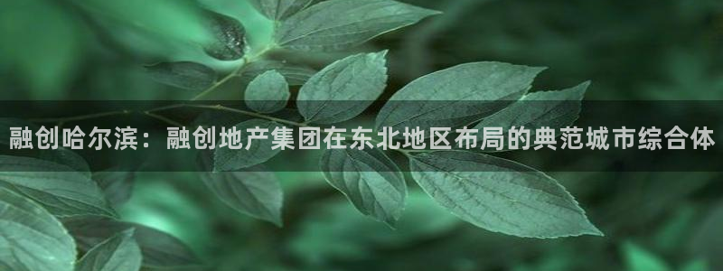 万向娱乐是野鸡台吗