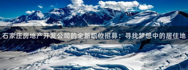万向娱乐官网网址是什么