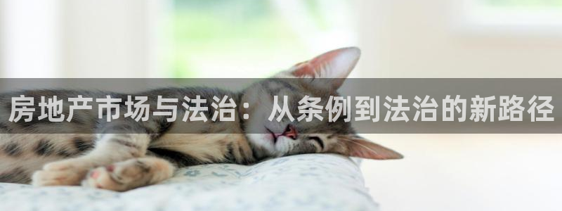 万向娱乐挂机软件