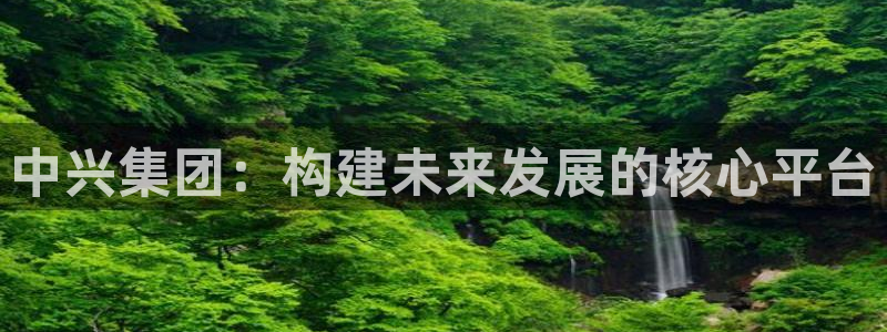 万向娱乐平台下载安装手机版