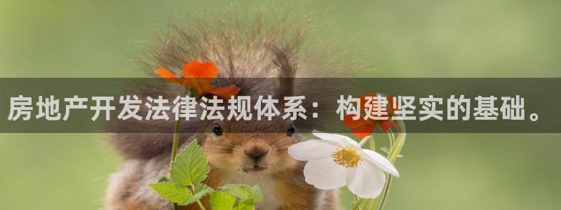 万向娱乐平台代理怎么样啊