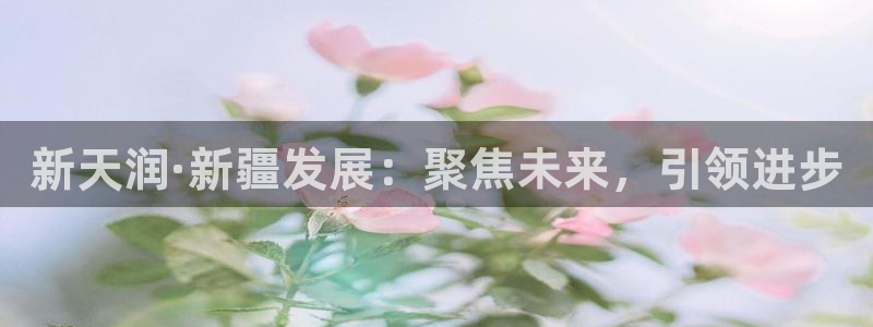 万向娱乐灯333OO