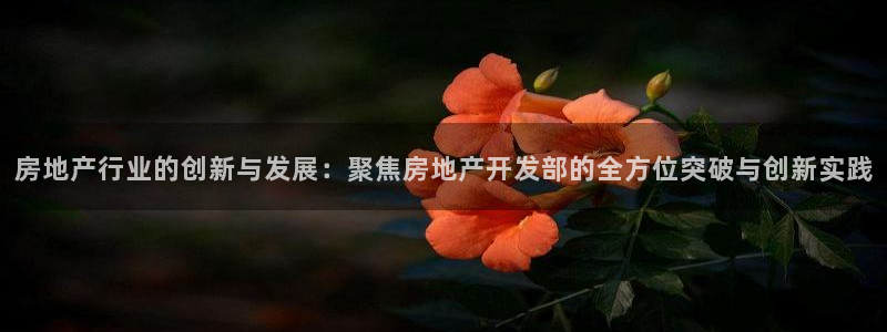 万向娱乐官网网址是多少