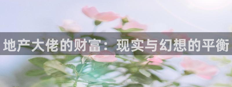 万向娱乐平台代理多少钱