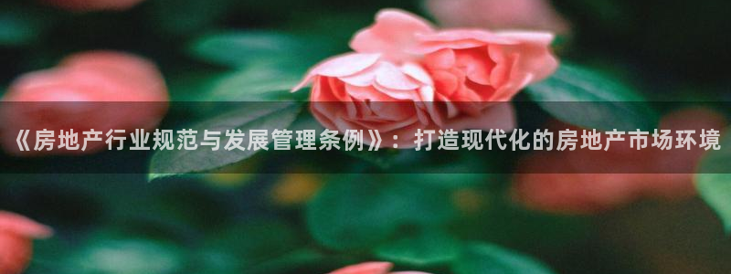万向娱乐技术