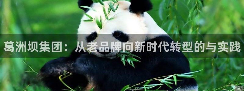 万向娱乐app