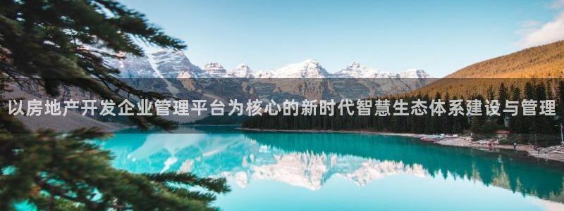 万向娱乐网址是什么